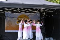 images/series/wijkfestival-oost-2025/2025-Wijkfestival-Oost 67.jpg